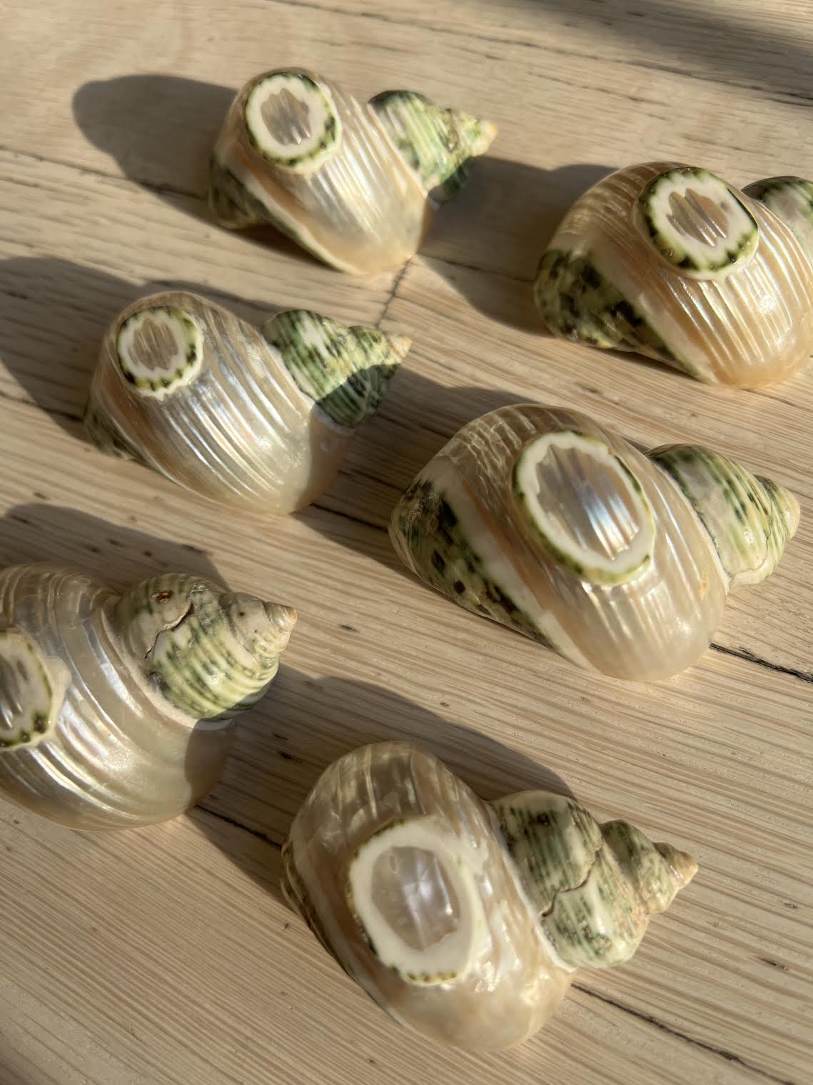 Vintage 1960's Seashell Escargot Appetizer Holders For Tablescape or Napkin Holders